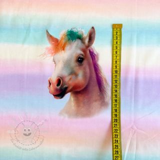 Jersey Unicorn pastel rainbow PANEL digital print