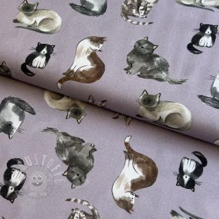 Baumwollstoff Cats lavender digital print