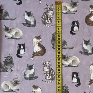 Baumwollstoff Cats lavender digital print