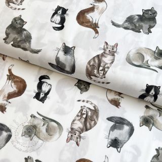 Baumwollstoff Cats white digital print