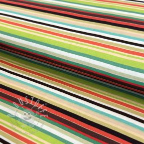 Jersey Great big farm green stripe digital print